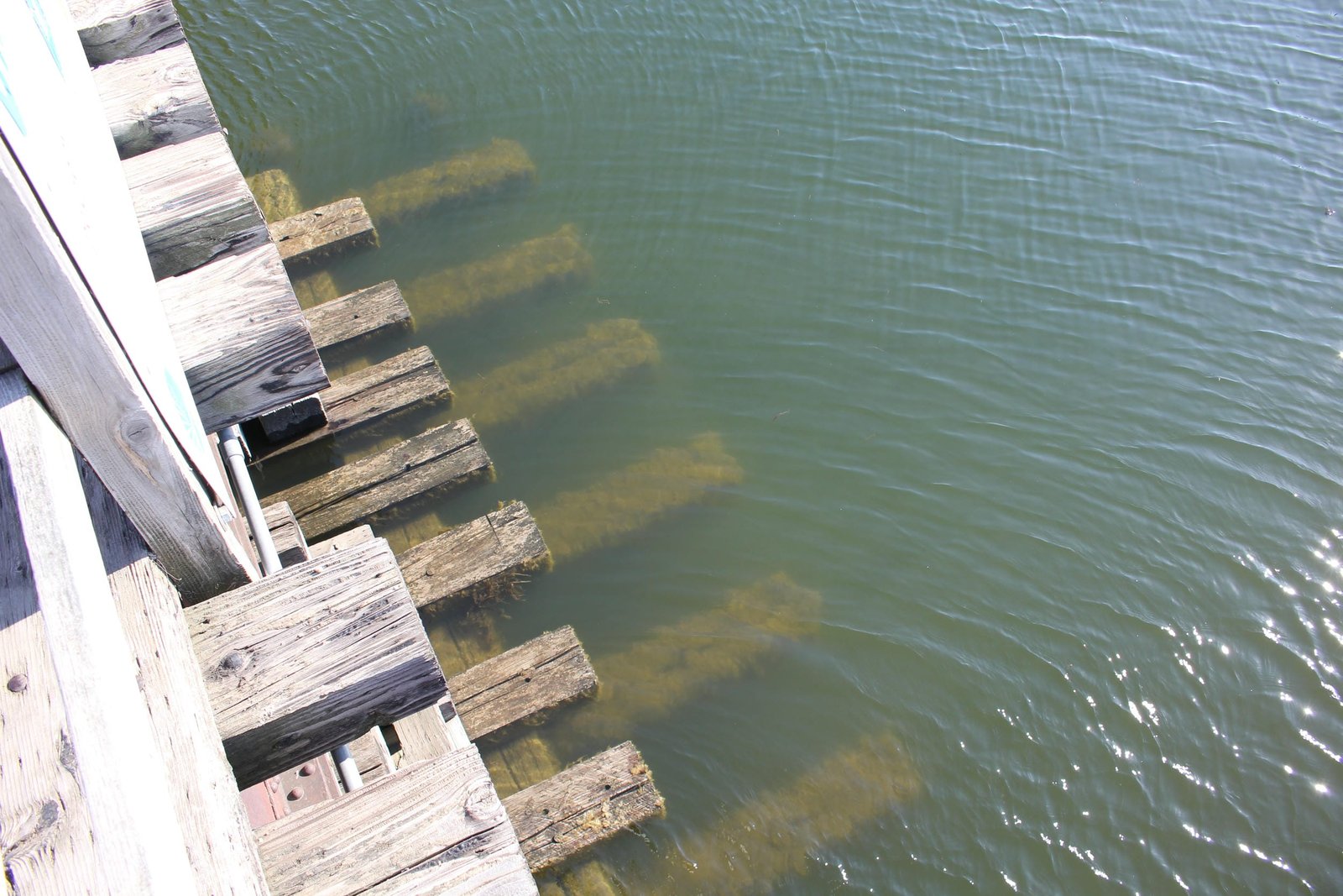 Details of submerged timbers